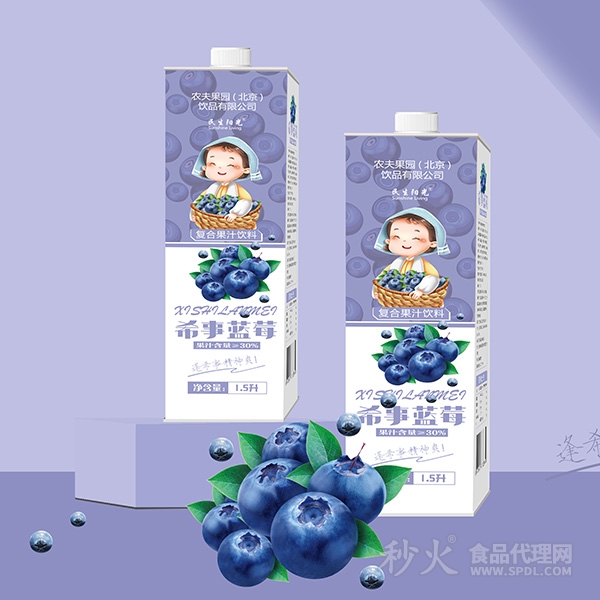 民生阳光希事蓝莓复合果汁饮料1.5L