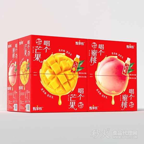 甄享核喝个果汁饮料300mlx15瓶