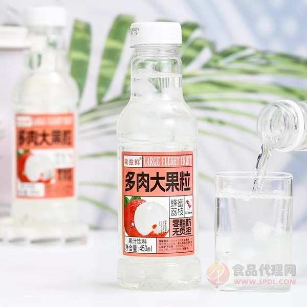 果兹鲜多肉大果粒蜂蜜荔枝果汁饮料450ml