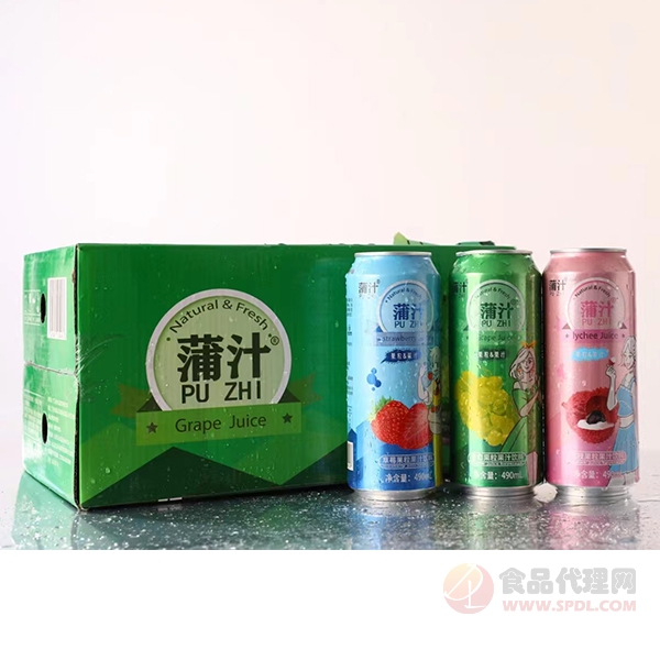 蒲汁果粒果汁饮料490mlx15瓶