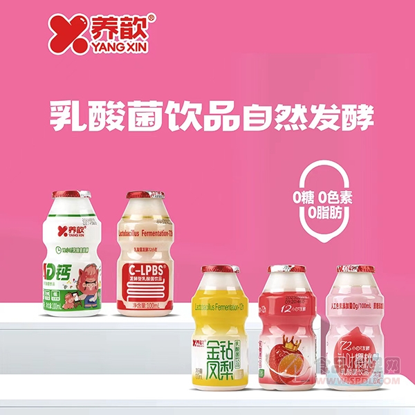 养歆乳酸菌饮品100ml