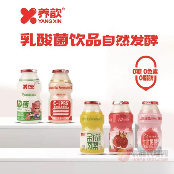 养歆乳酸菌饮品100ml