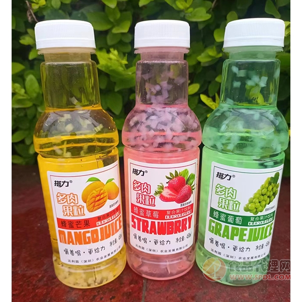 搭力多肉果粒复合果汁450ml