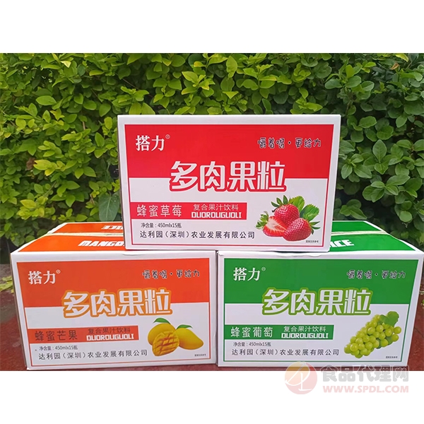 搭力多肉果粒复合果汁450mlx15瓶