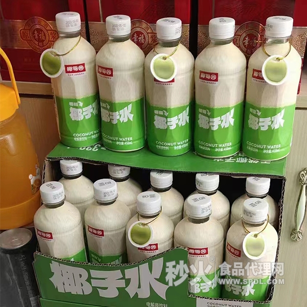 椰甸园椰子水电解质饮料450ml