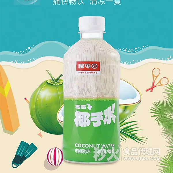 椰甸园椰子水电解质饮料450ml