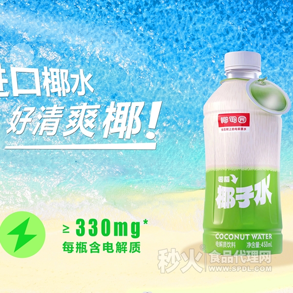 椰甸园椰子水电解质饮料450ml