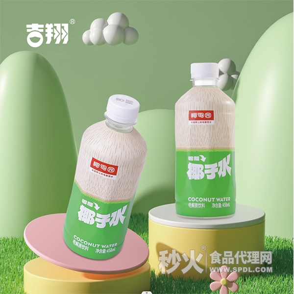 椰甸园椰子水电解质饮料450ml