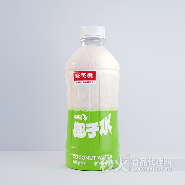 椰甸园椰子水电解质饮料450ml