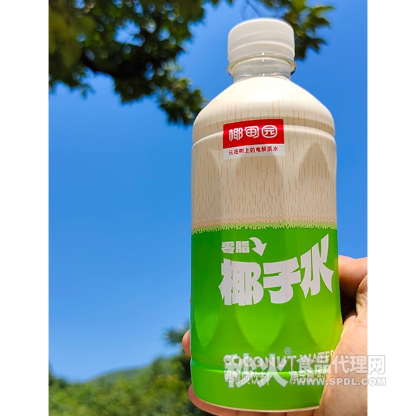 椰甸园椰子水电解质饮料450ml