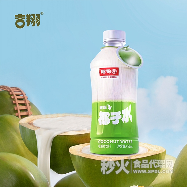 椰甸园椰子水电解质饮料450ml