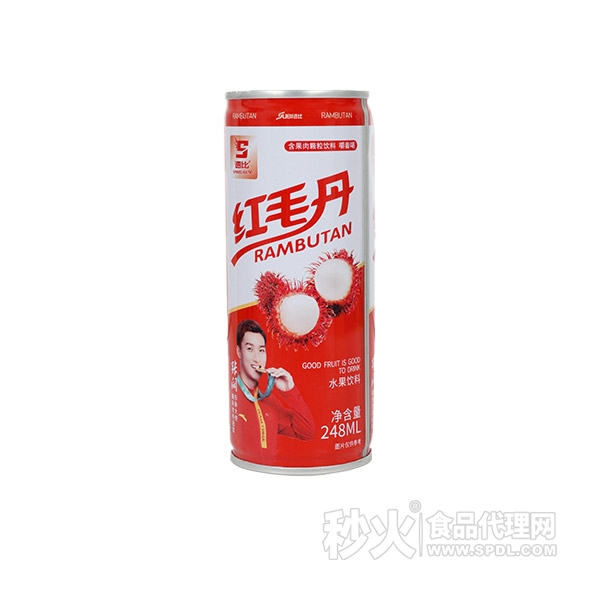 红毛丹水果饮料248ml