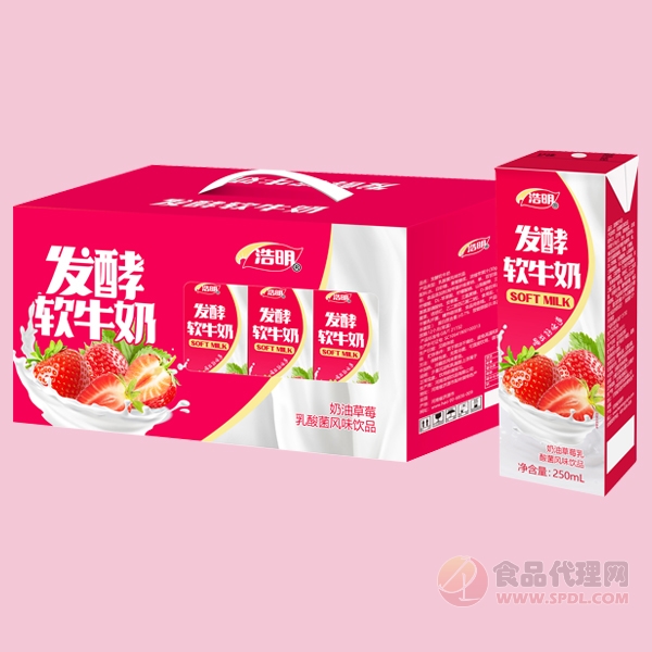 浩明发酵软牛奶奶油草莓乳酸菌风味饮品礼盒