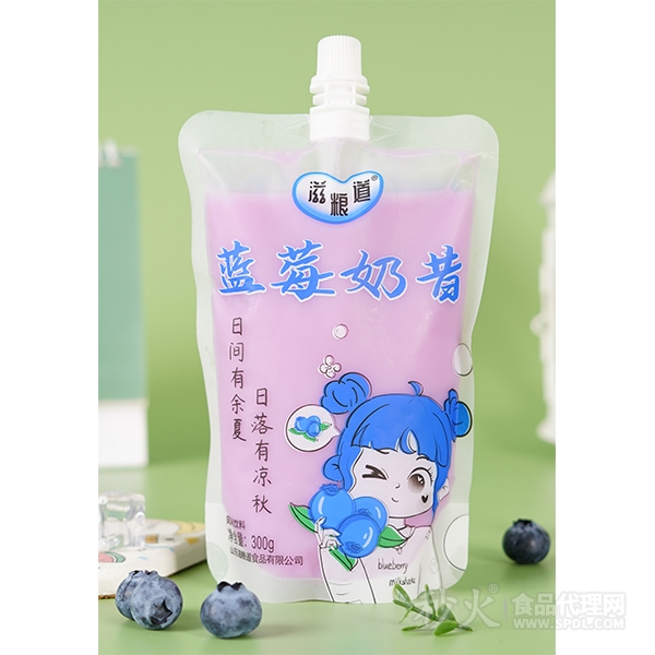 滋粮道蓝莓奶昔风味饮料300g