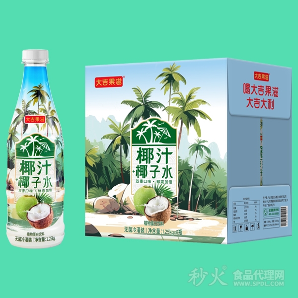 大吉果滋椰汁（+椰子水）标箱