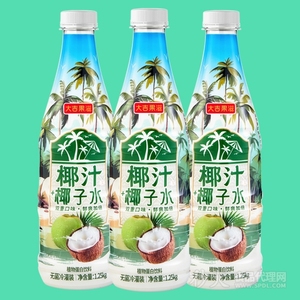 大吉果滋椰汁(+椰子水）1.25L