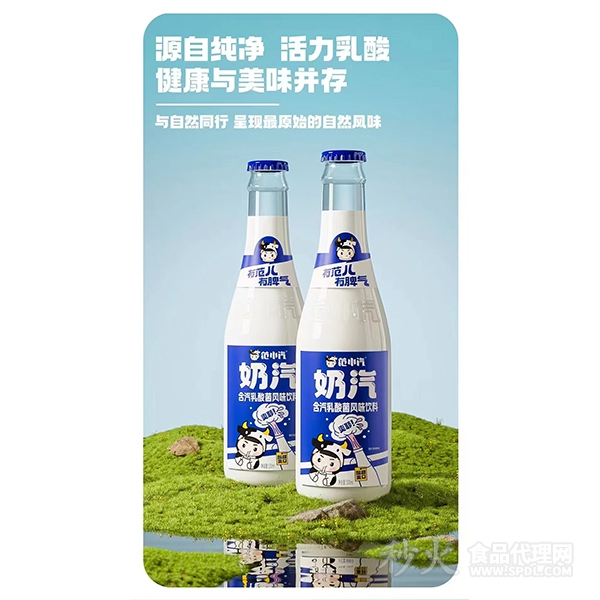 范小汽含汽乳酸菌风味饮料海报图