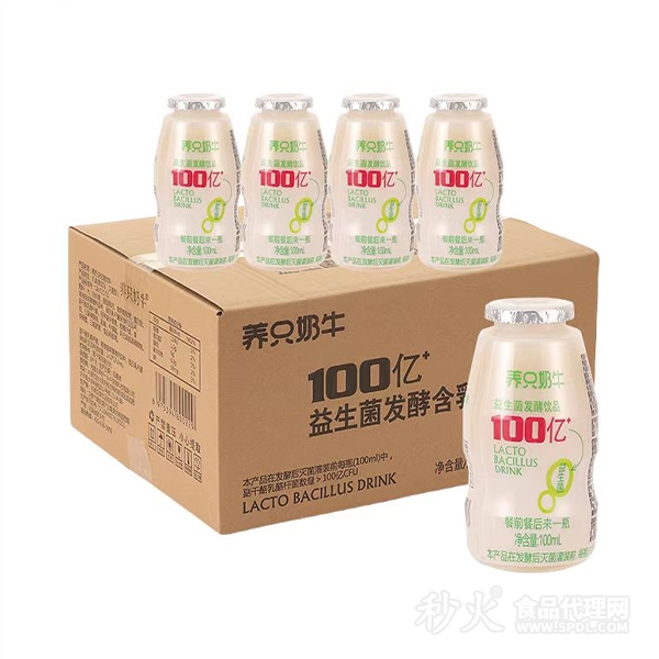 养只奶牛益生菌发酵含乳饮品100ml