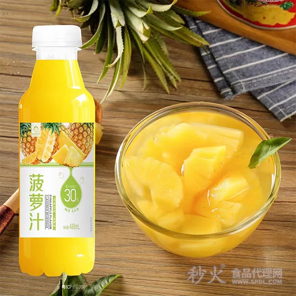 菠萝汁风味饮料488ml