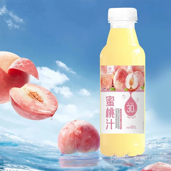 蜜桃汁风味饮料488ml