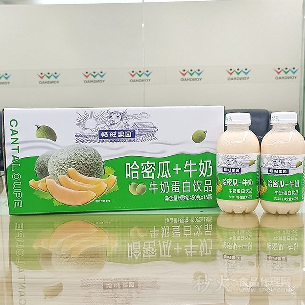 畅旺果园哈密瓜牛奶蛋白饮品450克