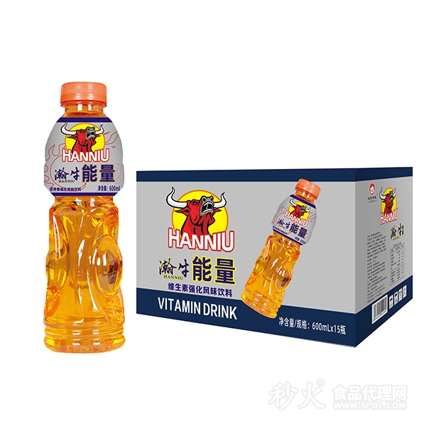 瀚牛能量维生素强化风味饮料600mlx15瓶