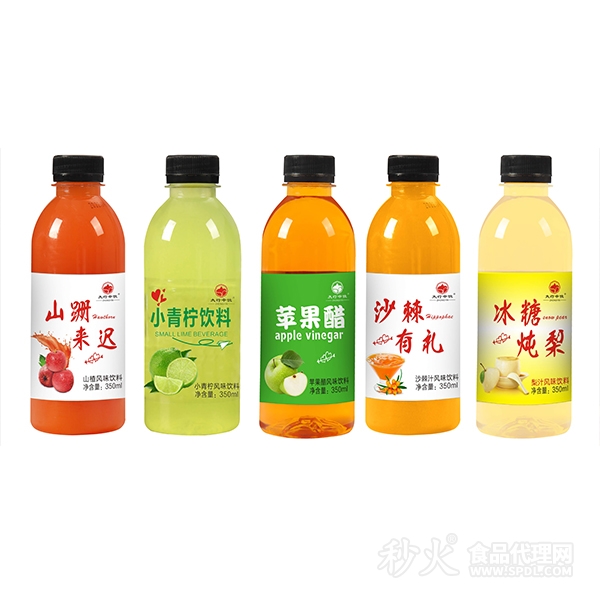 太行中饮风味饮料350ml