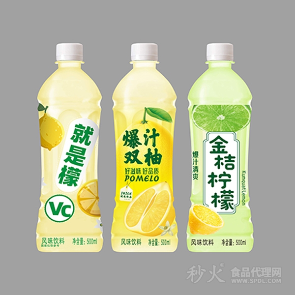 风味饮料500ml