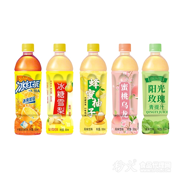 风味饮料500ml