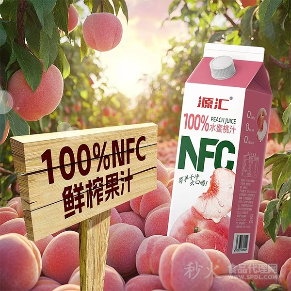 源汇NFC水密桃汁1L