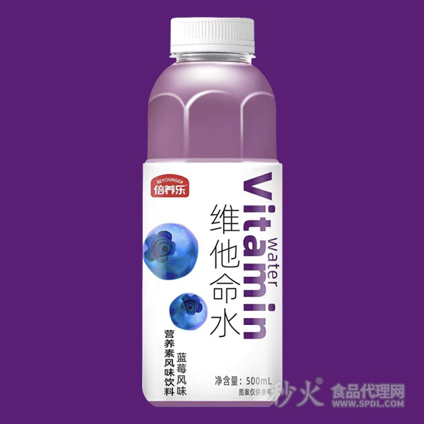 倍养乐维他命水蓝莓味500ml