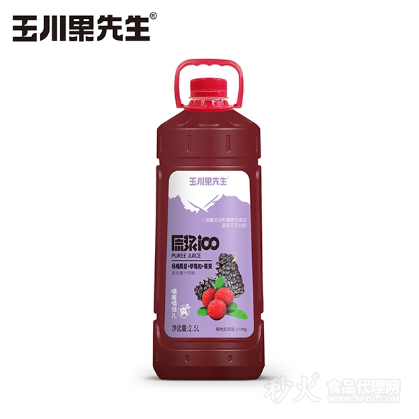 玉川果先生原浆100杨梅桑葚_草莓粒_椰果复合果汁饮料2.5L