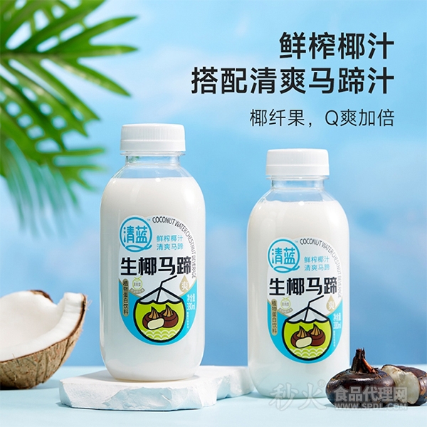 清蓝生椰马蹄植物蛋白饮料380ml