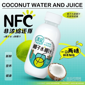 清蓝椰子水椰汁植物蛋白饮料380ml