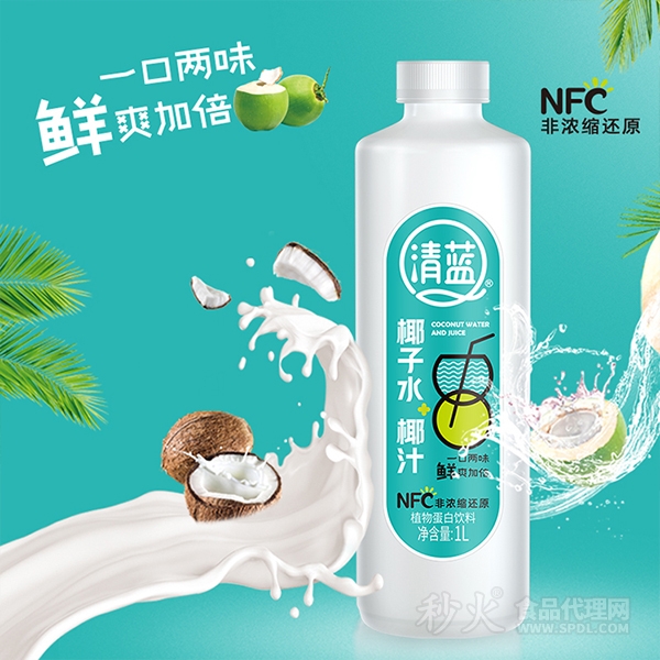 清蓝椰子水椰汁植物蛋白饮料1L