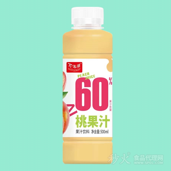 万洋湖桃果汁果汁饮料500ml