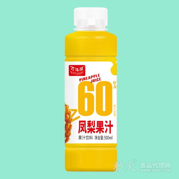 万洋湖凤梨果汁饮料500ml