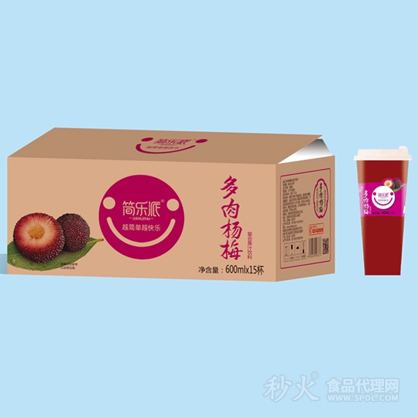 简乐派多肉杨梅复合果汁饮料标箱