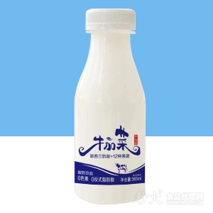 牛加菜酸奶饮品365ml