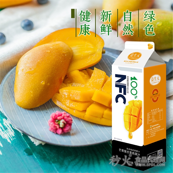 益生元NFC果汁芒果复合果肉果汁餐饮果汁1kg