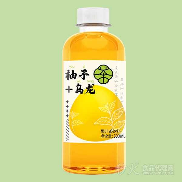 浩明柚子乌龙果汁茶500ml