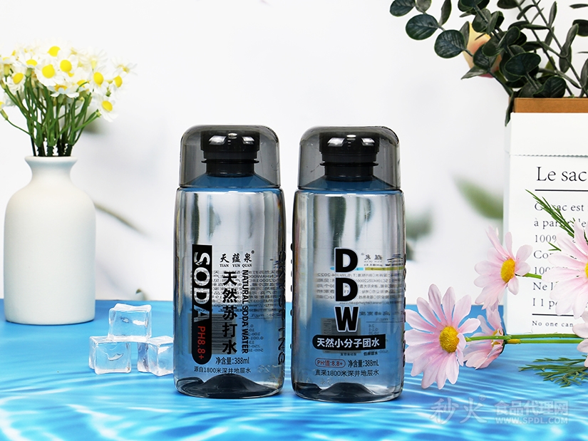 天蕴泉DDW天然小分子团水388ml