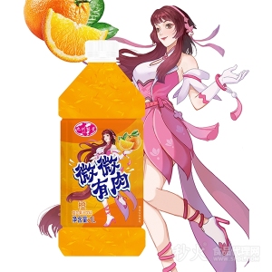 九州能量橙复合果汁饮料1L
