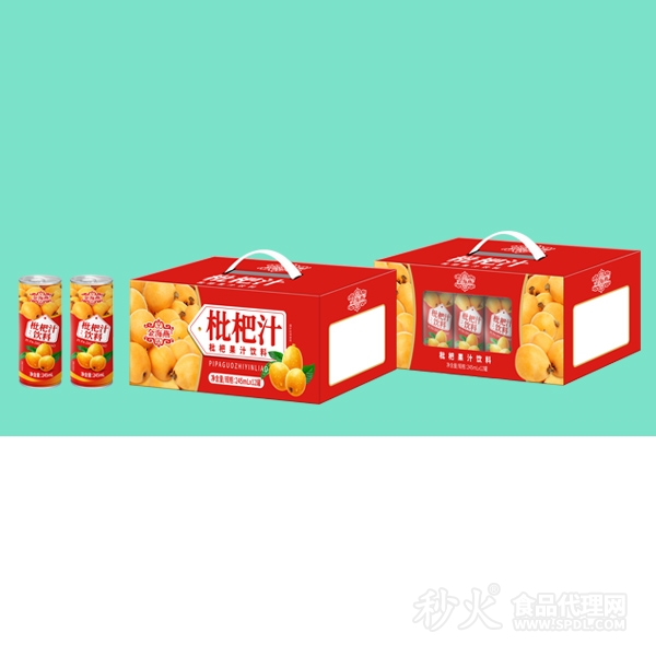 金海燕枇杷汁饮料礼盒