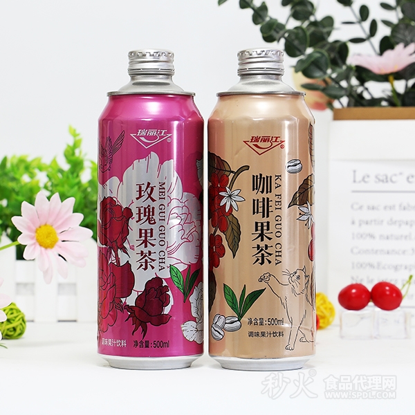 瑞丽江调味果汁饮料500ml