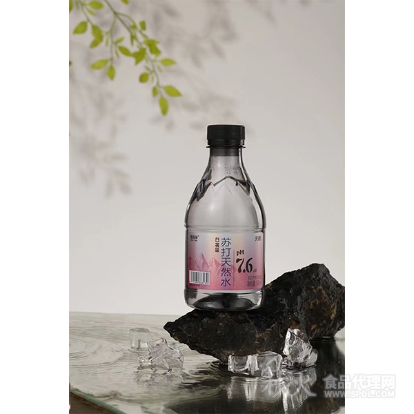 百樂(lè)洋蘇打天然水白桃味360ml