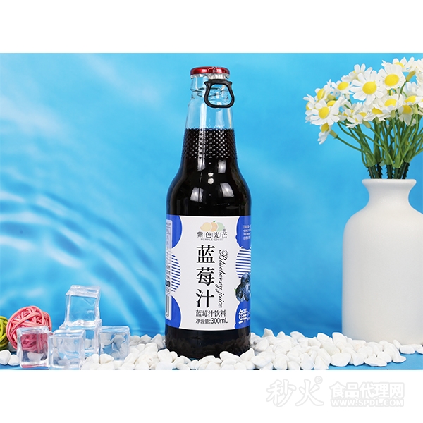 紫色光芒蓝莓汁饮料300ml