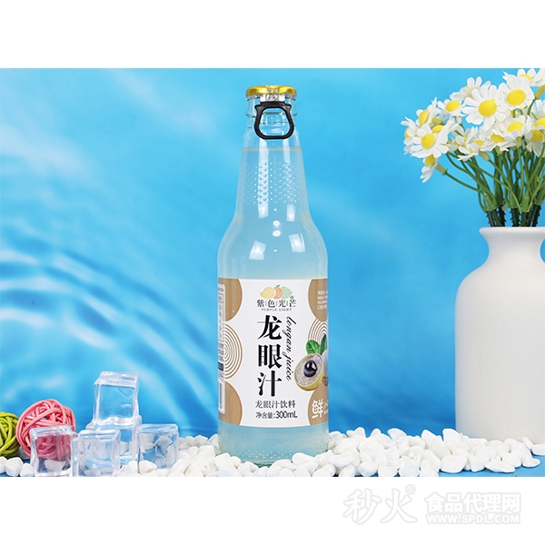 紫色光芒龙眼汁饮料300ml