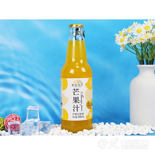 紫色光芒芒果汁饮料300ml