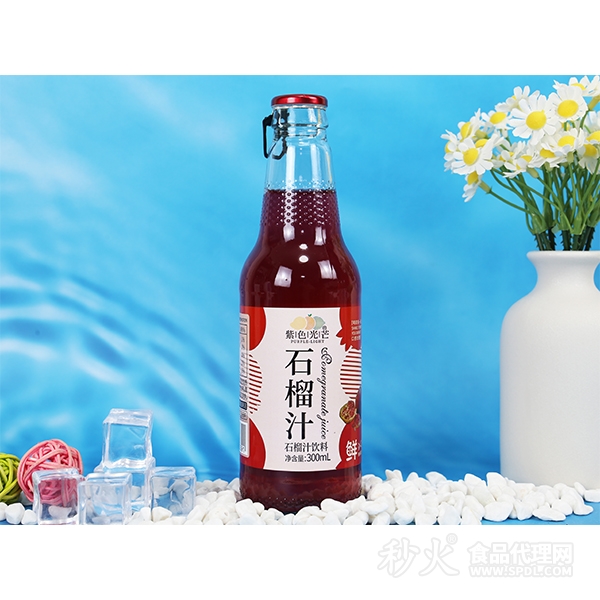 紫色光芒石榴汁饮料300ml